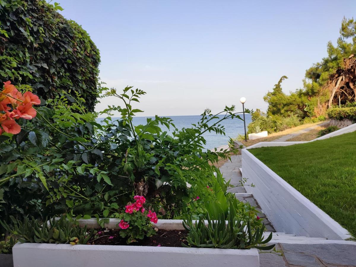 Beach House Emme Палеон-Цифликион Экстерьер фото